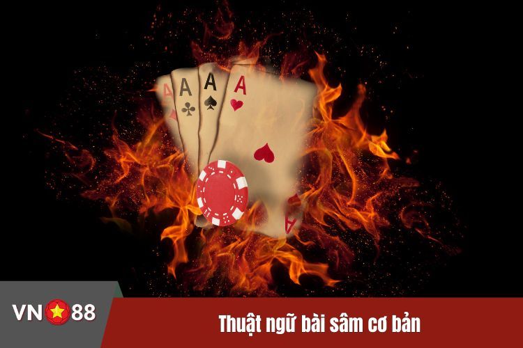 Thuật ngữ bài sâm cơ bản