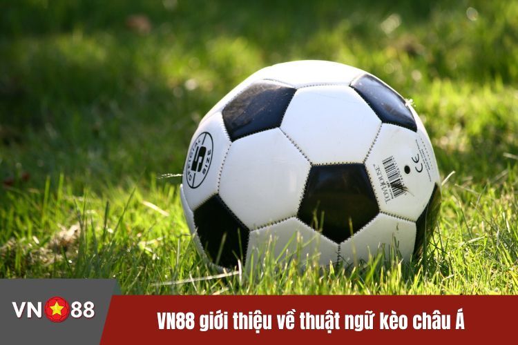 VN88 giới thiệu về thuật ngữ kèo châu Á